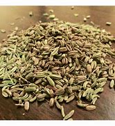 Common  Organic Fennel Seeds